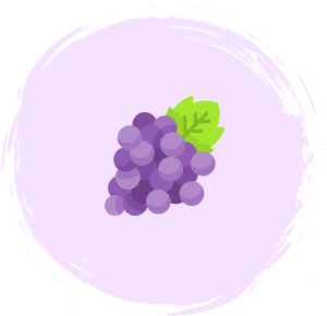 پنیر دورهمی