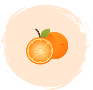 پنیر تک نفره